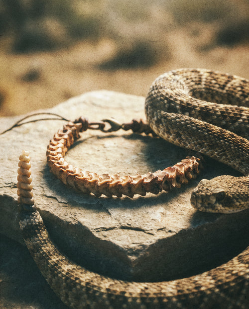 Snake Vertebrae Bracelet